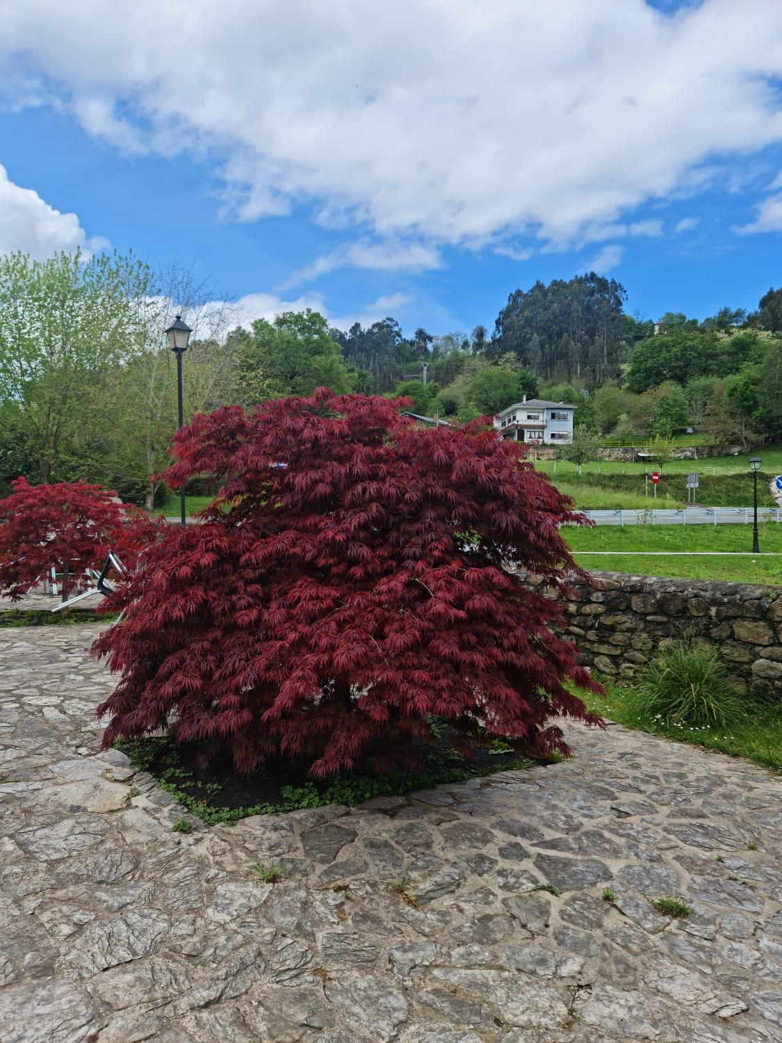 Posada Las Mozas Riocorvo Luaran gambar
